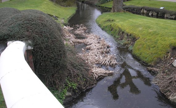 River Misbourne near Jaguar Showroom, Apr 2018