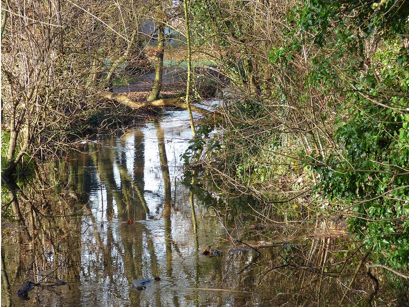 River Misbourne, Amersham Bypass Bridge. Photo by John Suckling