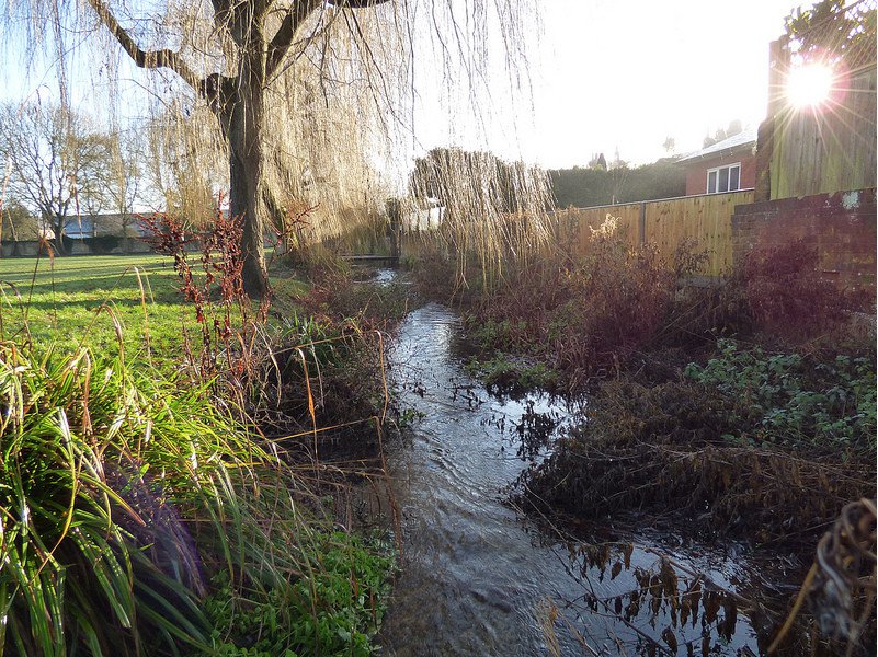 River Misbourne, Barn Meadow. Photo by John Suckling