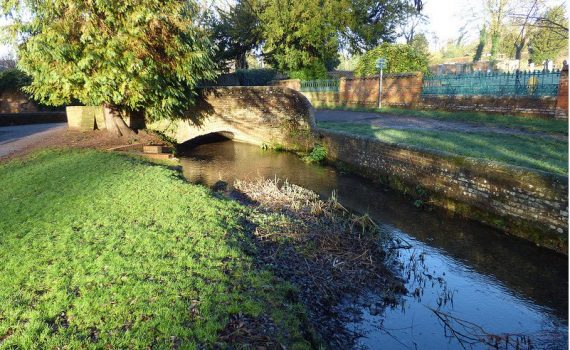 River Misbourne, Church Mead. Photo by John Suckling