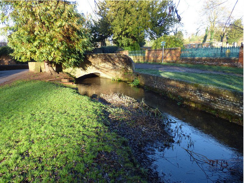 River Misbourne, Church Mead. Photo by John Suckling