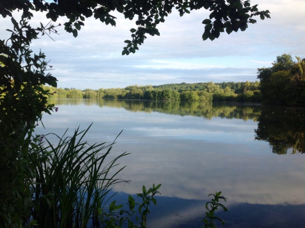 Shardeloes Lake