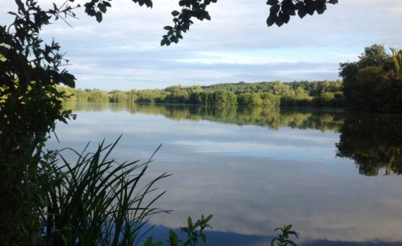 Shardeloes Lake