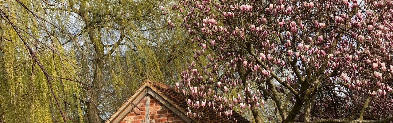 Spring Blossom, Old Amersham