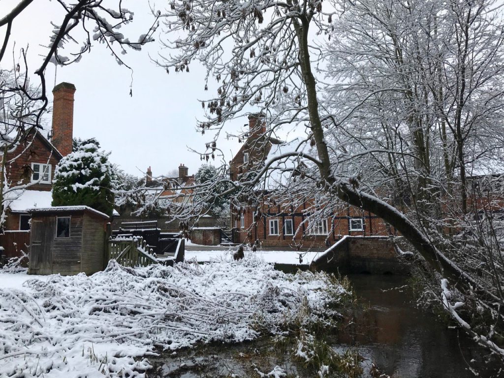 River Misbourne, Mill Lane to the corner of Barn Meadow, 23 Jan 2019