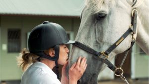 The Horse Trust Talk