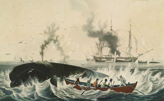 South Sea Whale Fishery, 1830s © E. Duncan, Public domain, via Wikimedia Commons