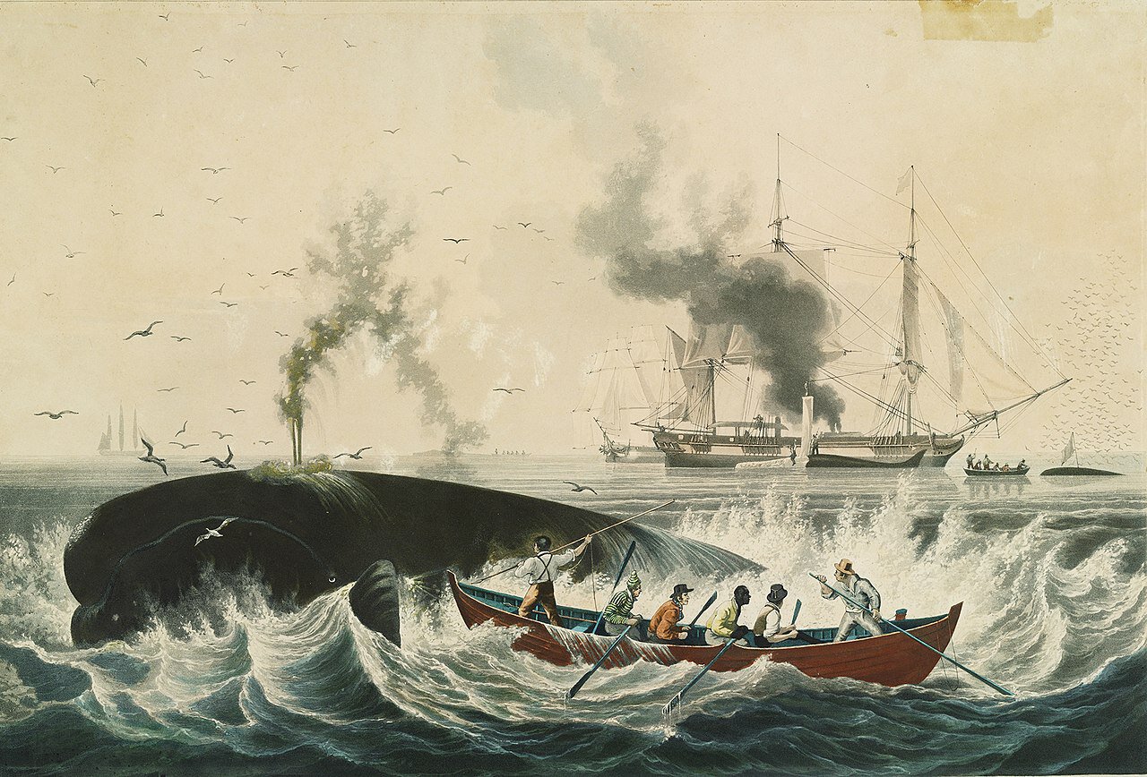 South Sea Whale Fishery, 1830s © E. Duncan, Public domain, via Wikimedia Commons