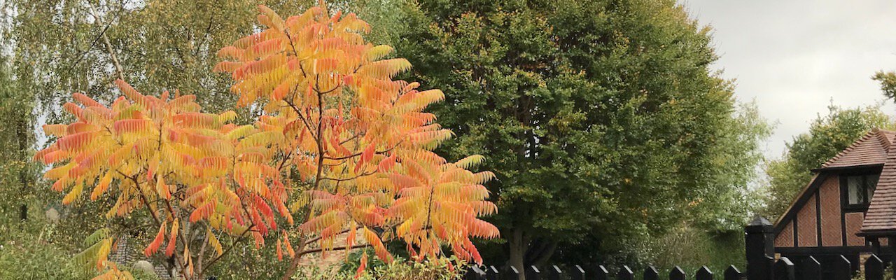 Autumn in Old Amersham
