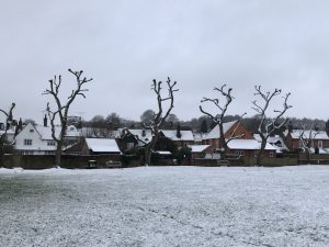 Tree works, Barn Meadow, Feb 2023