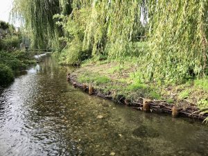 Earth and woody ‘berms’, Barn Meadow, Aug 2023