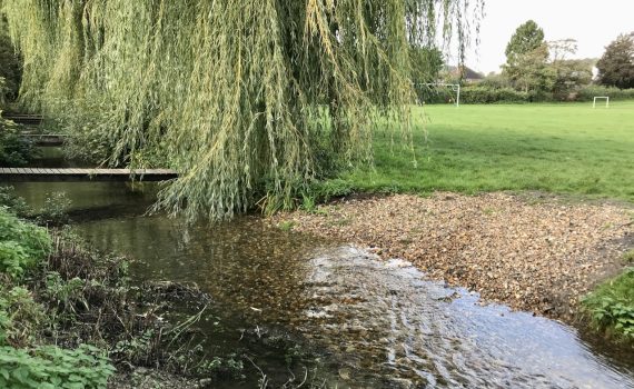 Gravel ‘beach’, Barn Meadow, Aug 2023