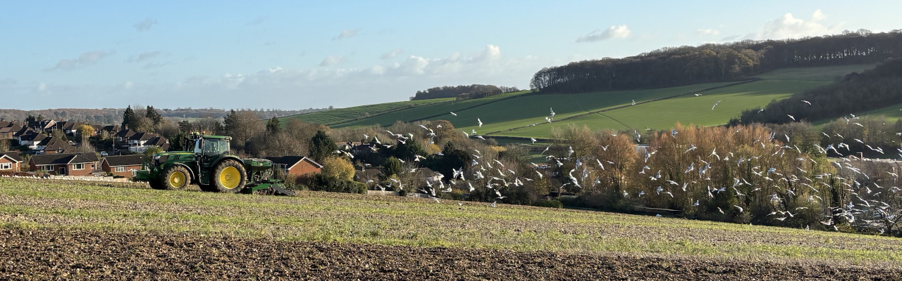 Ruccles Field, Old Amersham